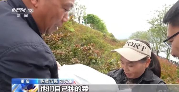 “渝忠客2180”，这艘渡船为何吸引百万网友围观？