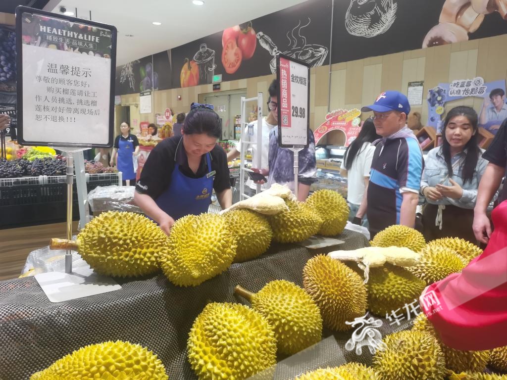 重庆榴莲大降价最低19.8元/斤?未来或更便宜! 重庆榴莲大降价最低19.8元/斤?未来或更便宜!