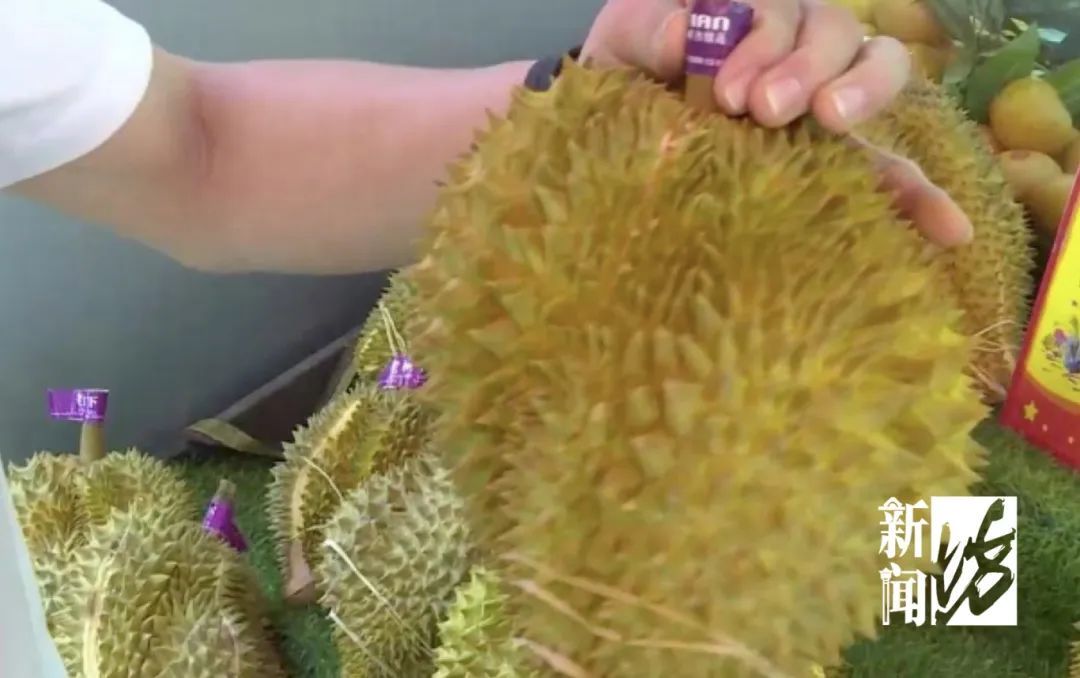 价格腰斩！上海商家：秒光，建议全款拿下！可能还会降…