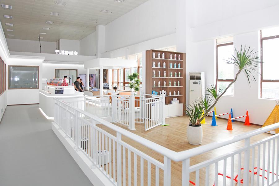 中国首家宠物候机厅在深圳启用