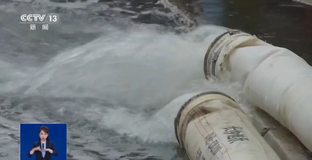 海南一湖中出现大量死鱼！原因公布