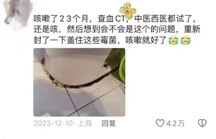 女子在家搞卫生后高烧40°C，肺部长出“小树芽”！这个细节千万警惕