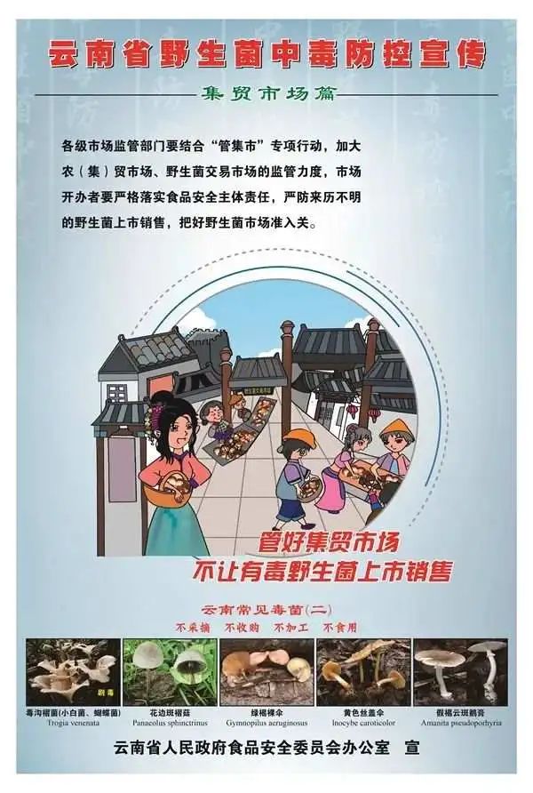 听说云南人要实现野生菌自由了？
