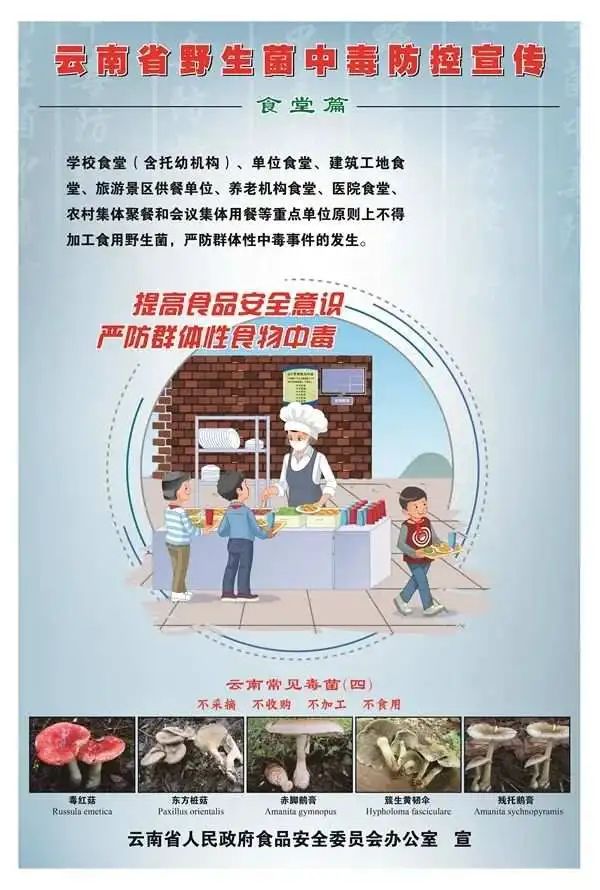 听说云南人要实现野生菌自由了？