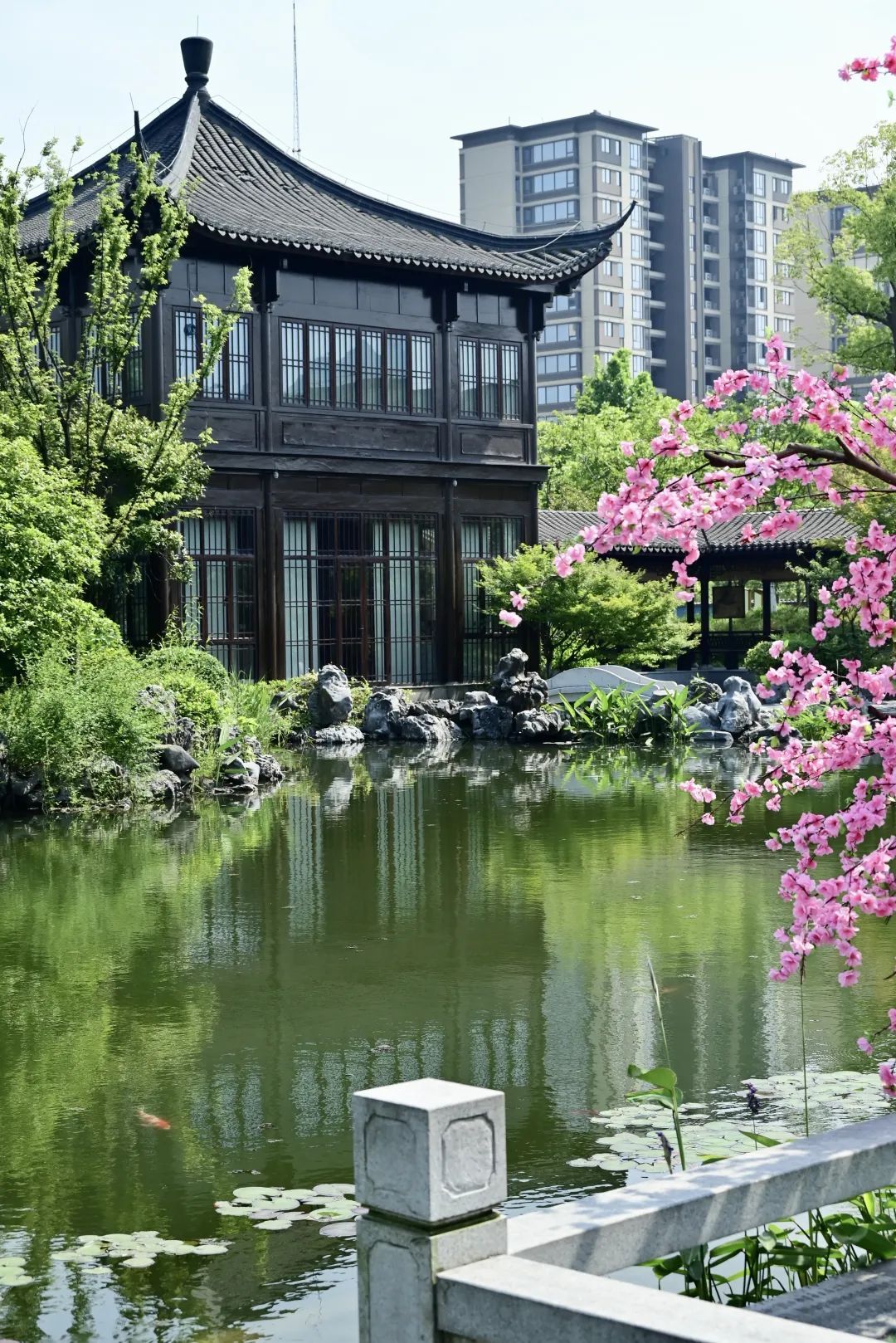 全满全满!杭州有人提前一个月蹲点,没赶上的可以→ 全满全满!杭州有人提前一个月蹲点,没赶上的可以→