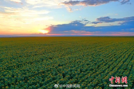 “泰”美了!夏天的阿勒泰是人间仙境吧 “泰”美了!夏天的阿勒泰是人间仙境吧