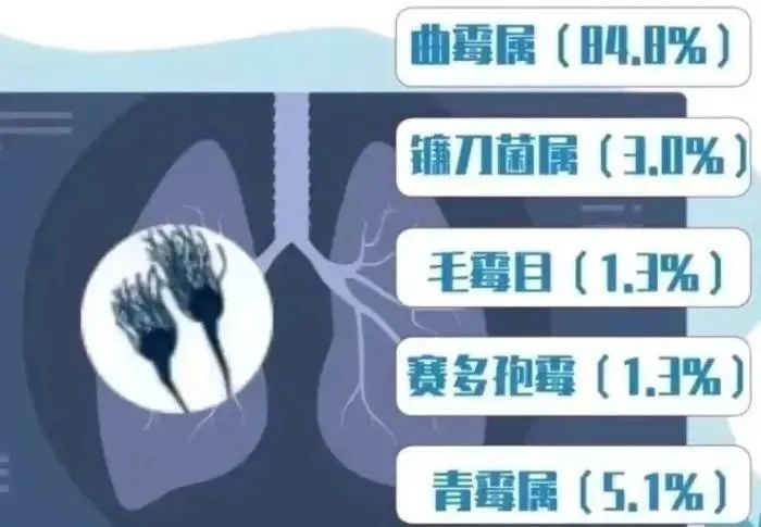 女子高烧40℃，肺部长霉斑！只因干家务时忽视这一细节……