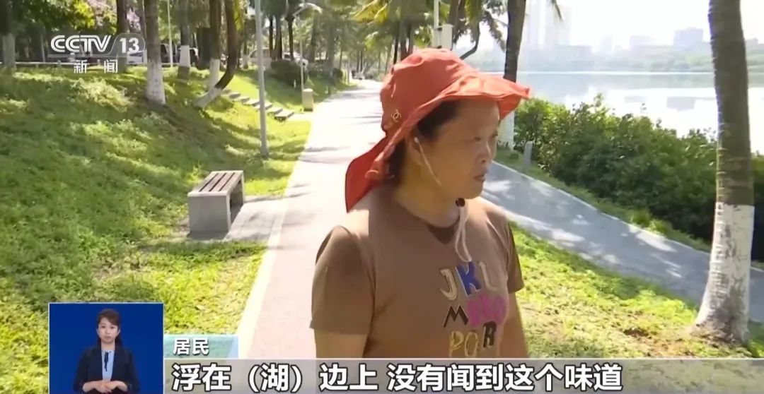 海南一湖中出现大量死鱼！原因公布