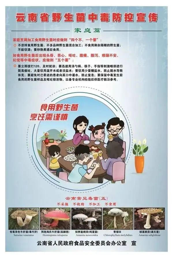听说云南人要实现野生菌自由了？