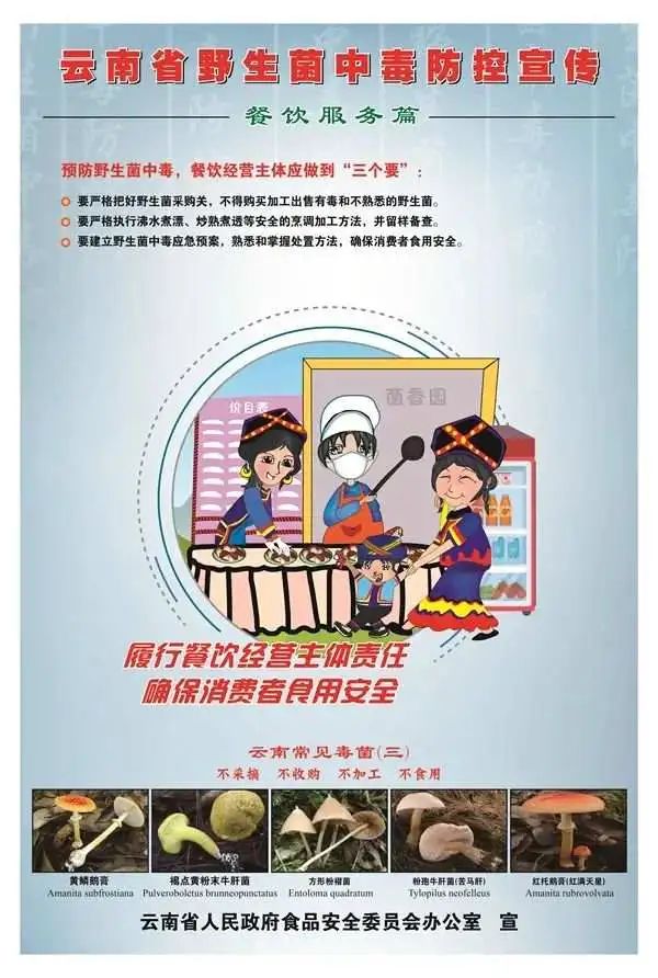 听说云南人要实现野生菌自由了？