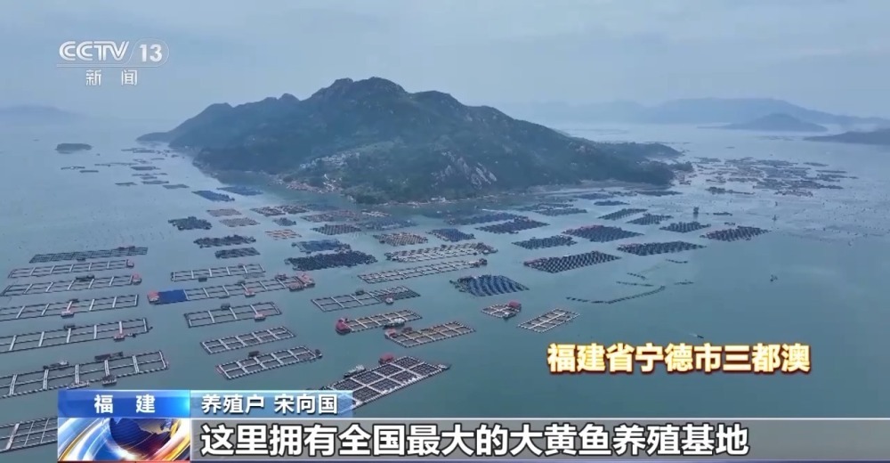 一条鱼的养殖攻略是啥？请参考福建人的“花招”→