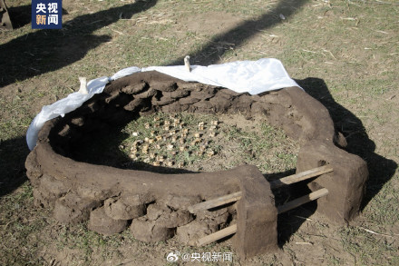 “粪”外有才！四川牧民用牛粪雕了个动物园