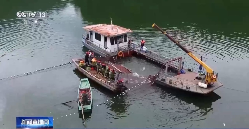 一条鱼的养殖攻略是啥？请参考福建人的“花招”→