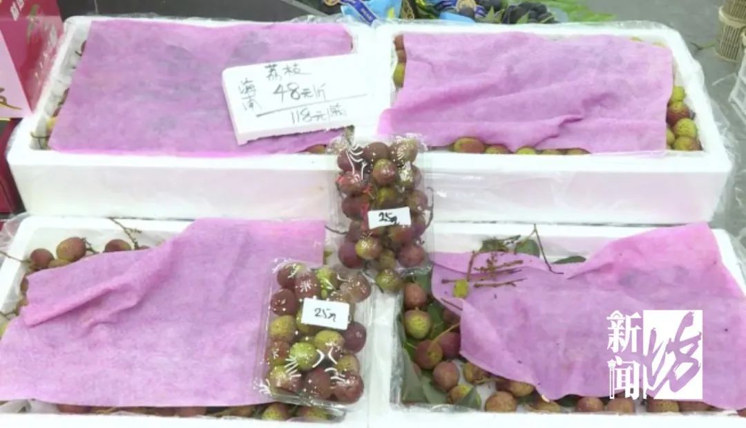 价格腰斩！上海商家：秒光，建议全款拿下！可能还会降…