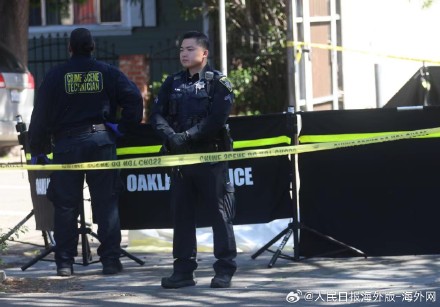 枪支暴力成美国“致命危机”