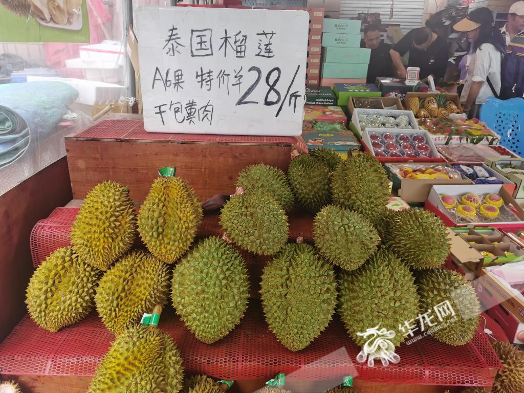 重庆榴莲大降价最低19.8元/斤?未来或更便宜! 重庆榴莲大降价最低19.8元/斤?未来或更便宜!