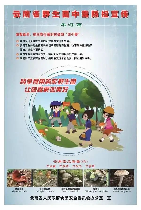 听说云南人要实现野生菌自由了？
