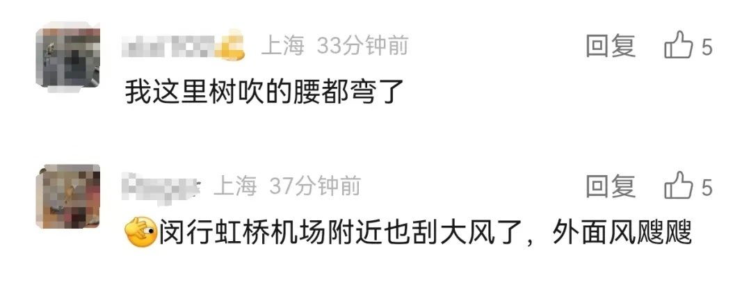 风太大，上海发布大风蓝色预警！网友：吃多点扛风
