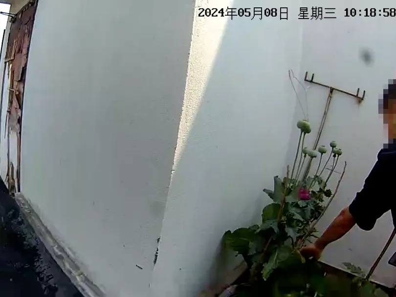 杭州女子顶楼晒被子,发现邻居竟然在…… 杭州女子顶楼晒被子,发现邻居竟然在……