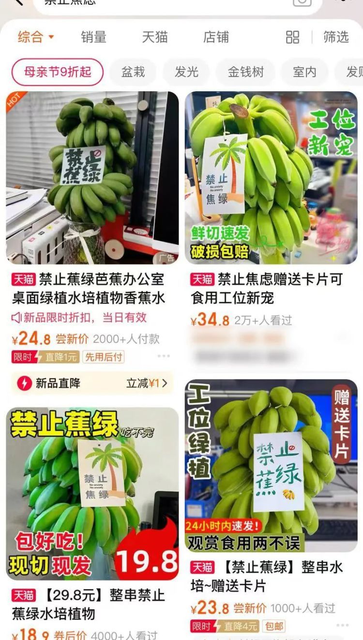 “禁止蕉绿”“动感光菠”......办公室新晋网红搭子你有了吗？