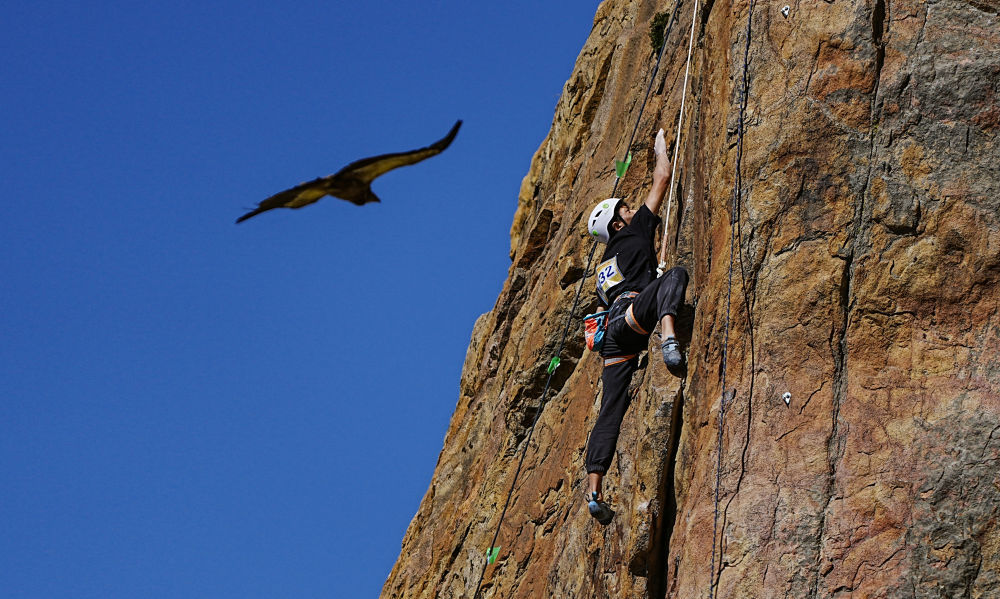 巴黎奥运会|让“对手”学会合作——专访国际攀联副主席小日向彻