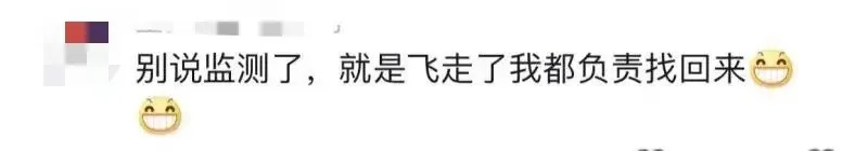 红耳bēi飞到宿舍筑巢？看完学生专业，网友：送论文来了……
