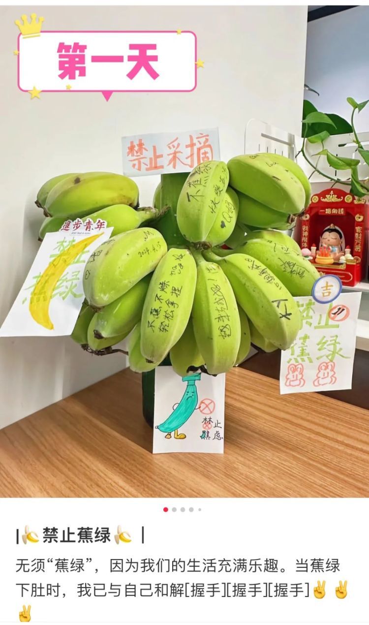“禁止蕉绿”“动感光菠”......办公室新晋网红搭子你有了吗？