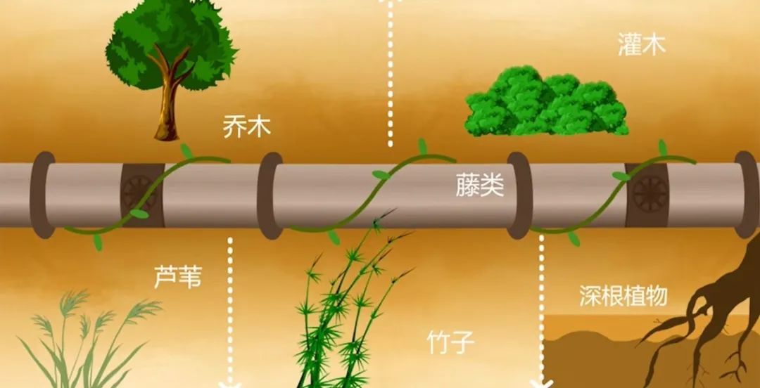 挖断光缆,长沙一男子被拘! 挖断光缆,长沙一男子被拘!