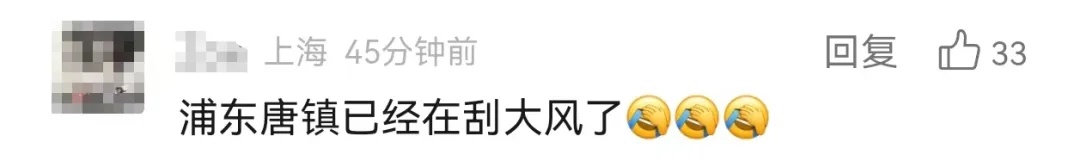 风太大，上海发布大风蓝色预警！网友：吃多点扛风