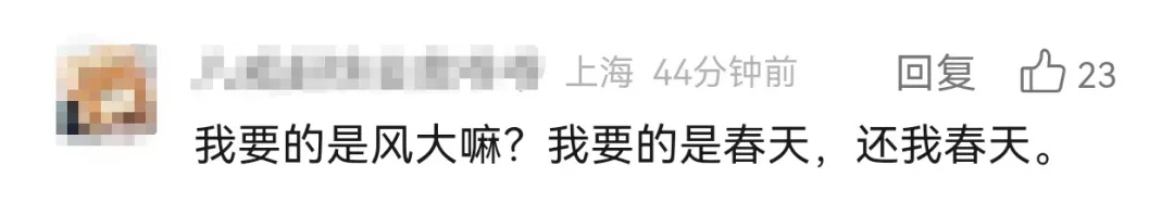风太大，上海发布大风蓝色预警！网友：吃多点扛风