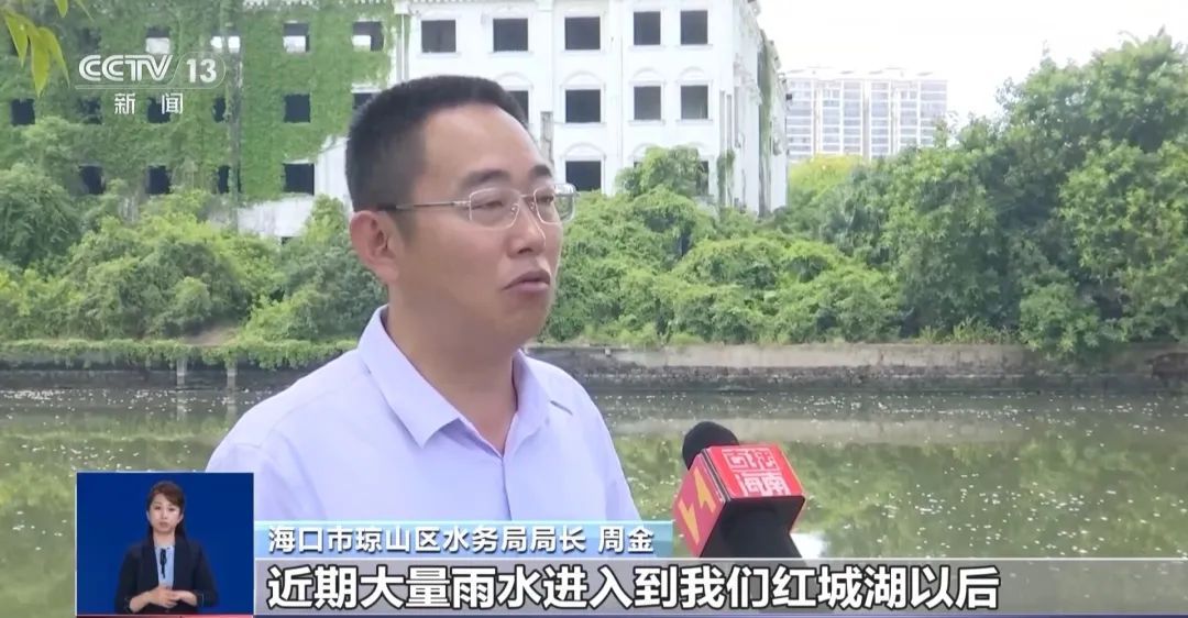 湖内一夜浮现8吨死鱼！当地公布原因→