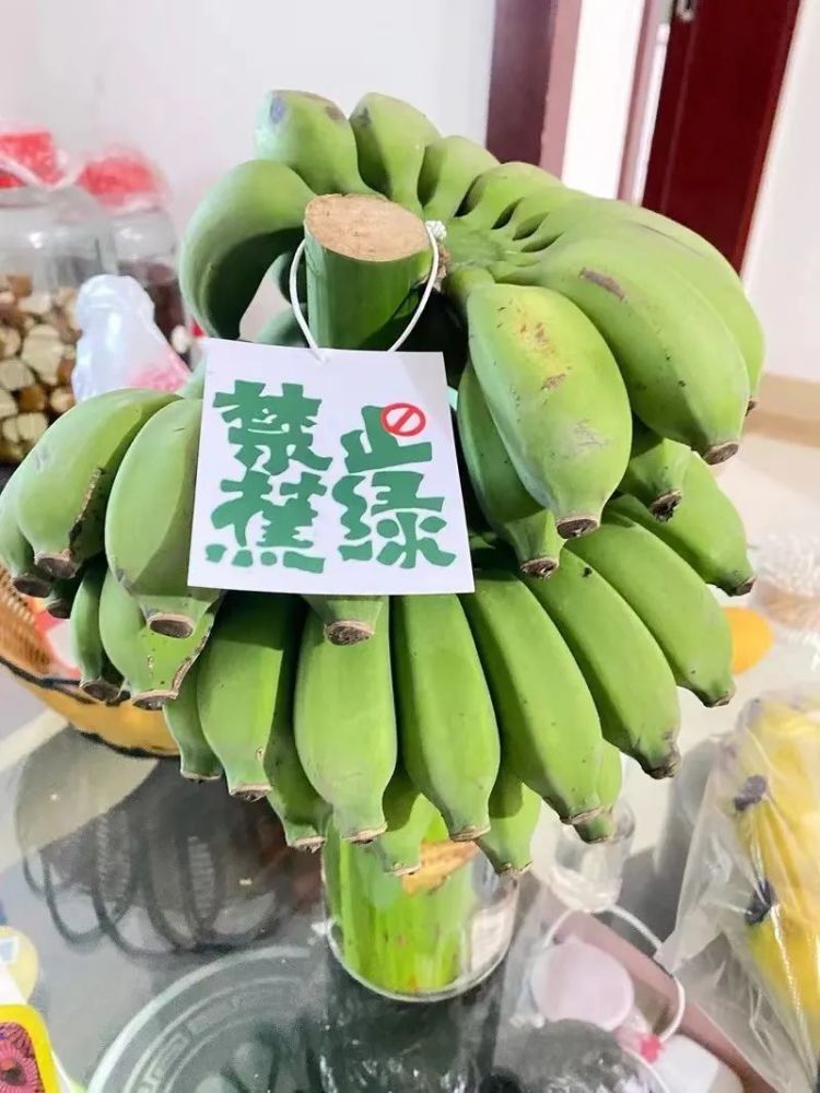 “禁止蕉绿”“动感光菠”......办公室新晋网红搭子你有了吗？