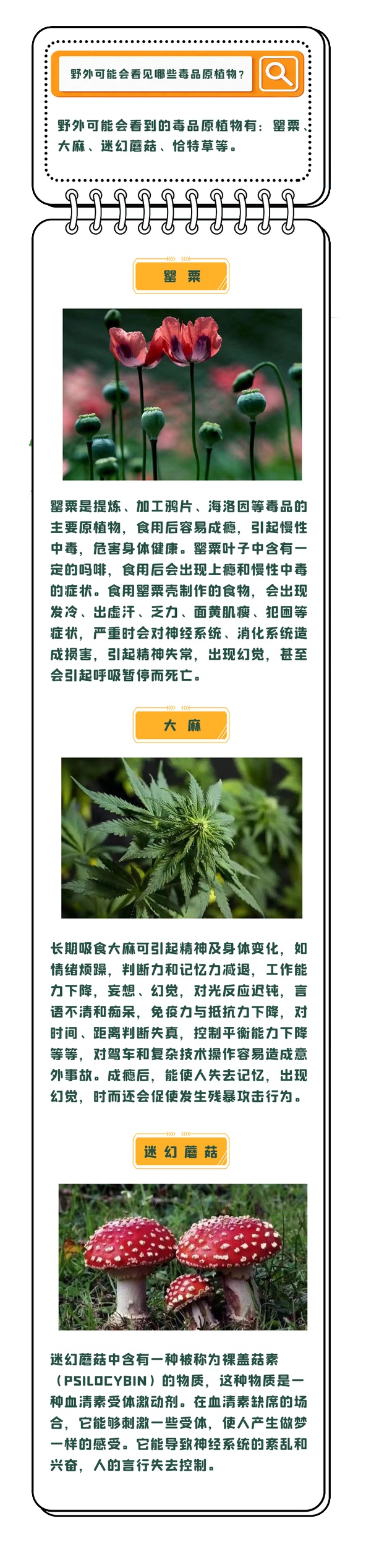 “小孩姐”立功了！报警铲毒→