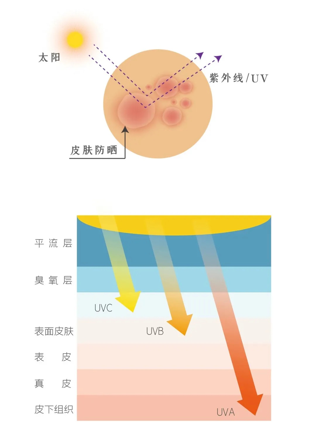 吃完这些蔬菜、水果,劝你别干这件事...... 吃完这些蔬菜、水果,劝你别干这件事......