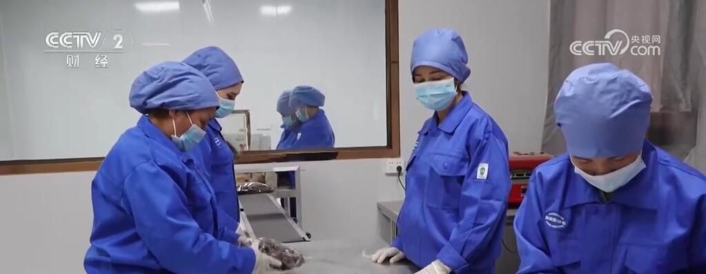 “小特产”变身“大产业” 以花为“媒”激发乡村振兴新活力 “小特产”变身“大产业” 以花为“媒”激发乡村振兴新活力