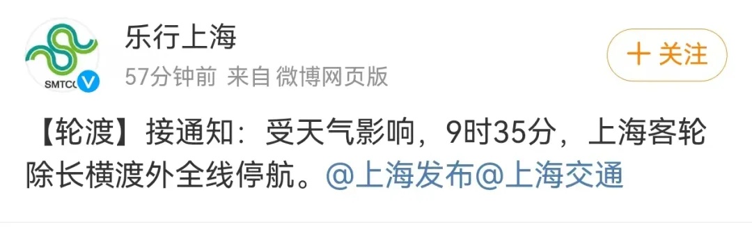 风太大，上海发布大风蓝色预警！网友：吃多点扛风