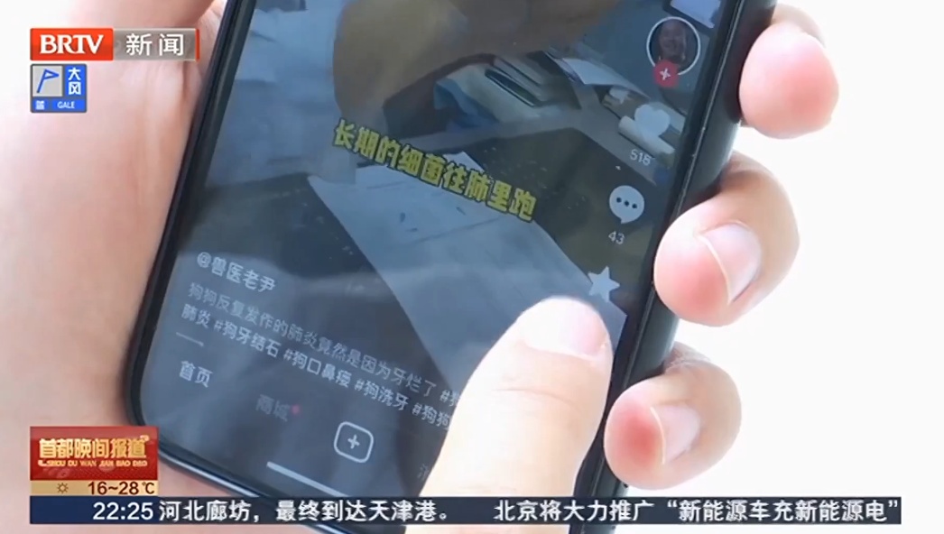 很多人有这种癖好！你可能变成“数字仓鼠”了