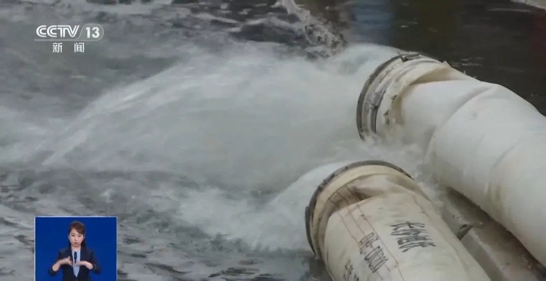 湖内一夜浮现8吨死鱼！当地公布原因→