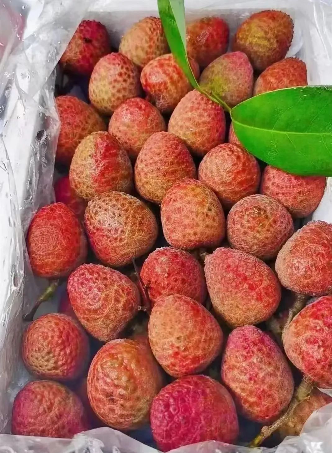 价格飙升，镇江人惊呼吃不起了！