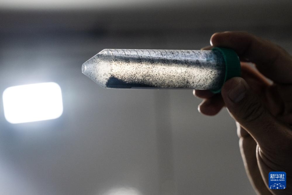 小蚊子也有大用处——巴西生物工厂助力虫媒疾病防控