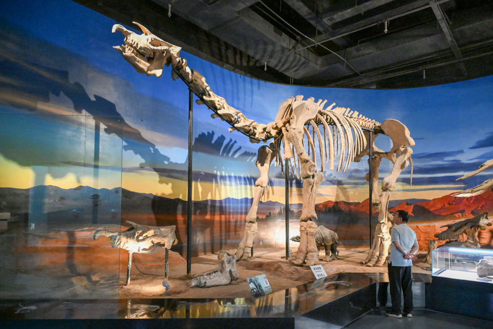 探访吐鲁番博物馆