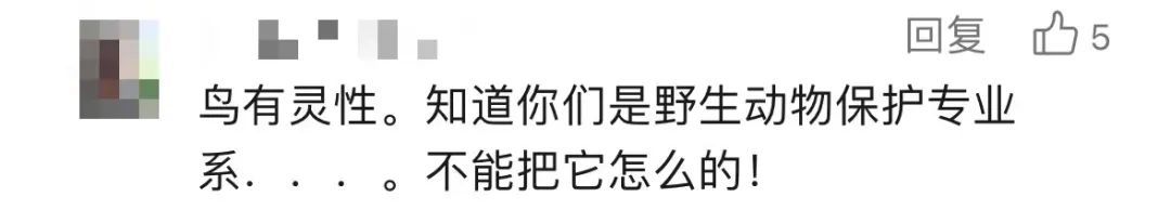 红耳bēi飞到宿舍筑巢？看完学生专业，网友：送论文来了……