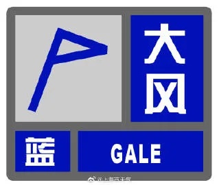 风太大，上海发布大风蓝色预警！网友：吃多点扛风