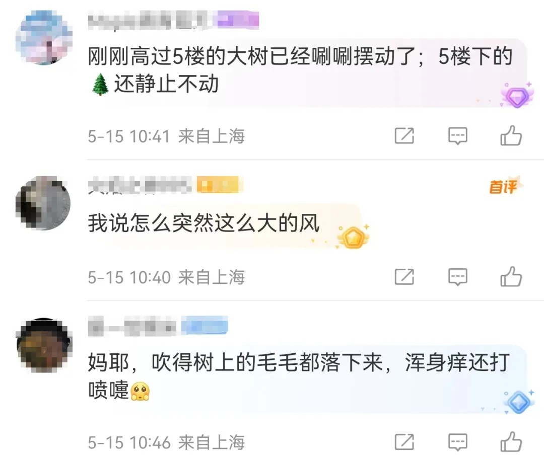 风太大，上海发布大风蓝色预警！网友：吃多点扛风