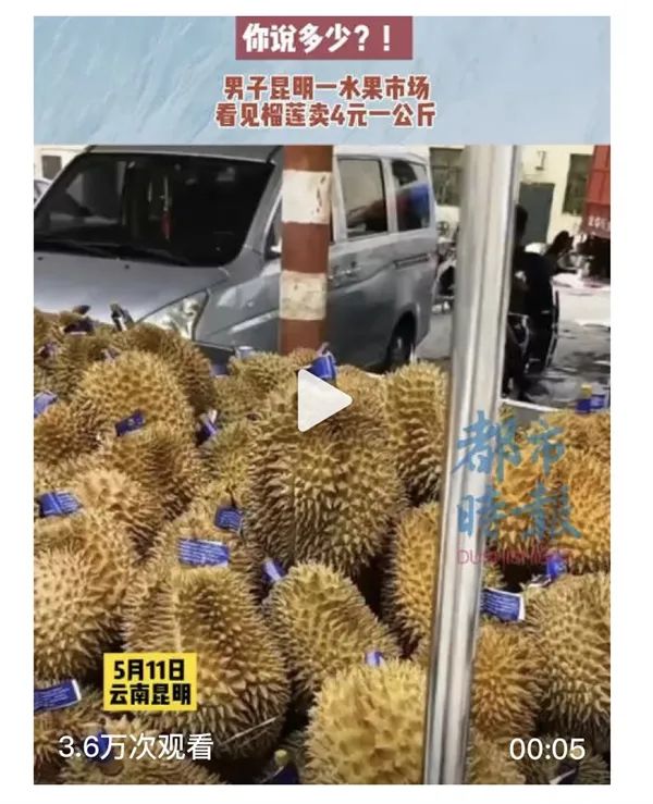 网传“榴莲4元1斤” ，昆明真的实现榴莲自由了吗？