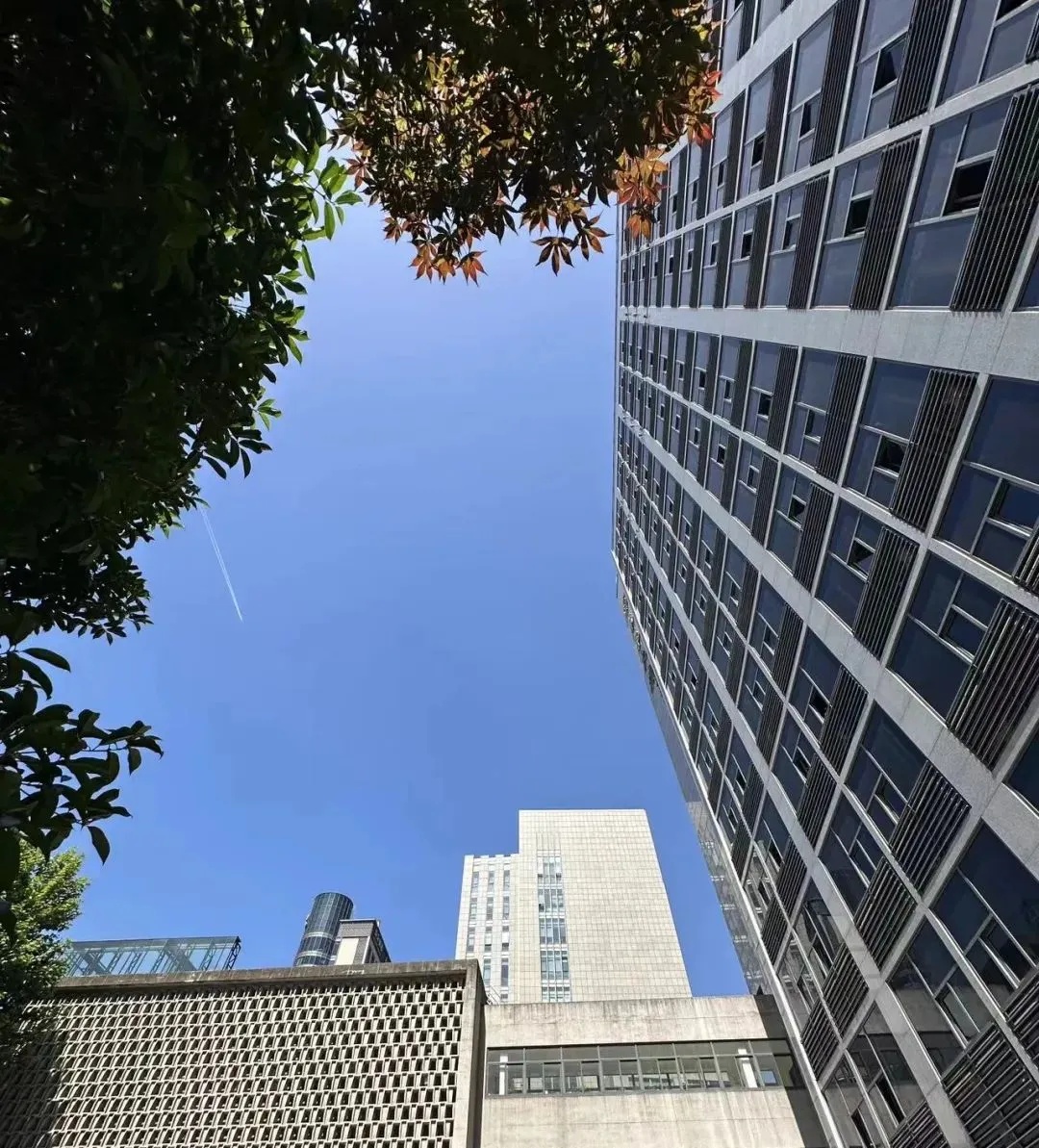 上海能否入夏？周末气温高开高走，但下周二前后…