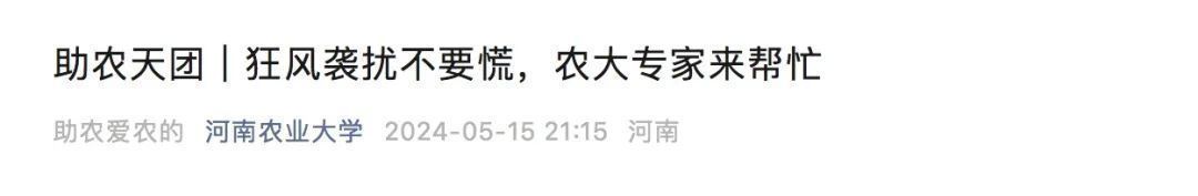 河南部分麦田被大风吹倒?网友在线求助,高校发文 河南部分麦田被大风吹倒?网友在线求助,高校发文