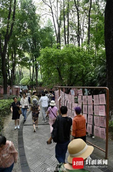 “蹲一个阳光开朗宝藏男孩”!成都人连相亲角都拉满松弛感 “蹲一个阳光开朗宝藏男孩”!成都人连相亲角都拉满松弛感