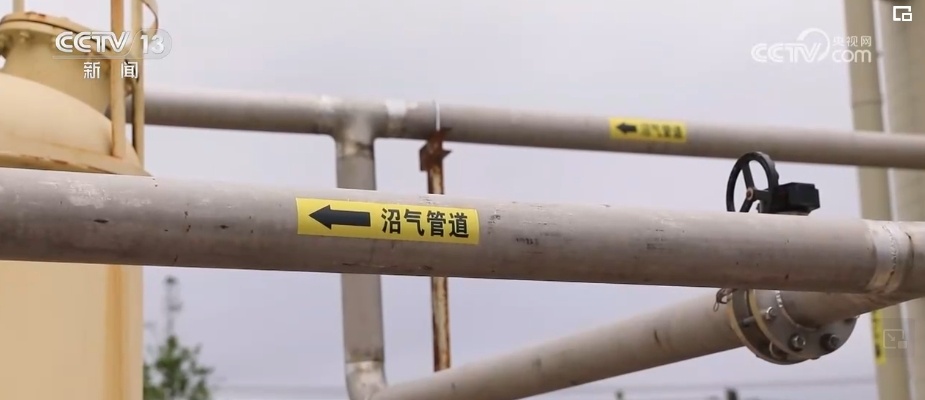 耕地、环境、产业链上的“加减法”点绿成“金” 农户共享更多“绿色红利”