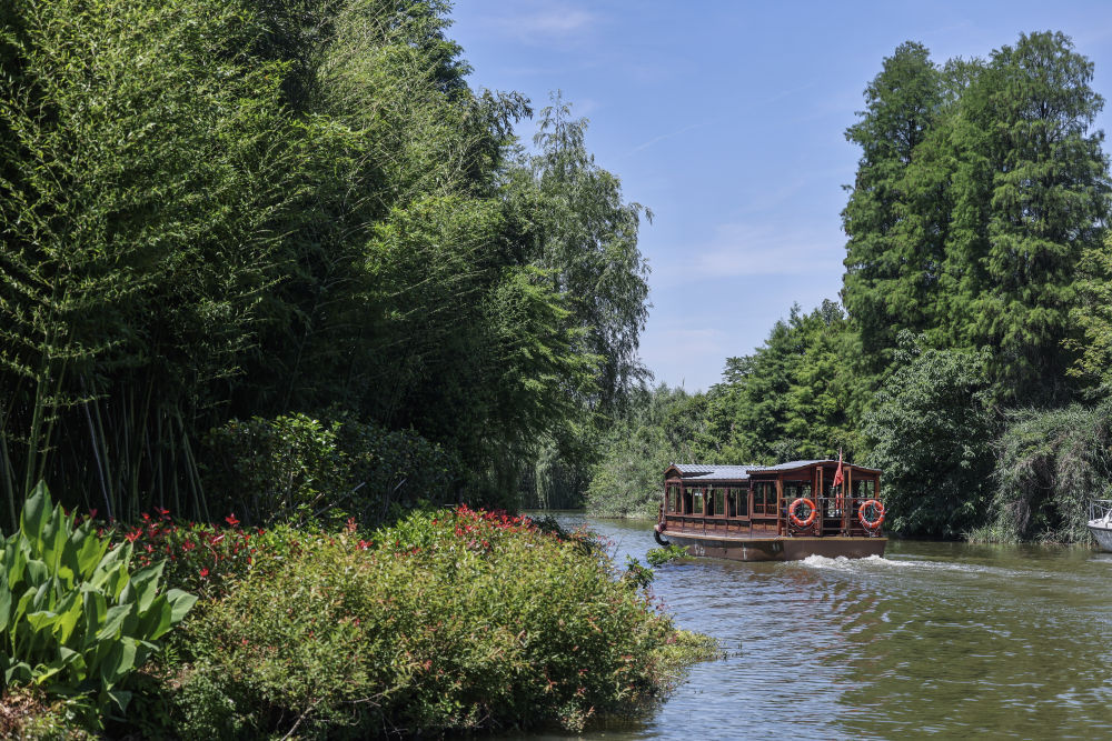 美丽中国｜夏花烂漫 水草丰茂——白塔湖国家湿地公园的初夏
